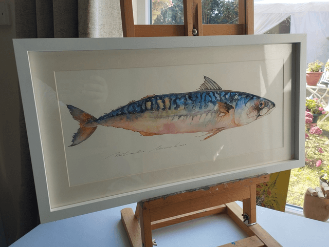 Mackerel freshly caught. Original watercolor painting