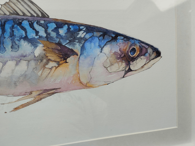 Mackerel freshly caught. Original watercolor painting