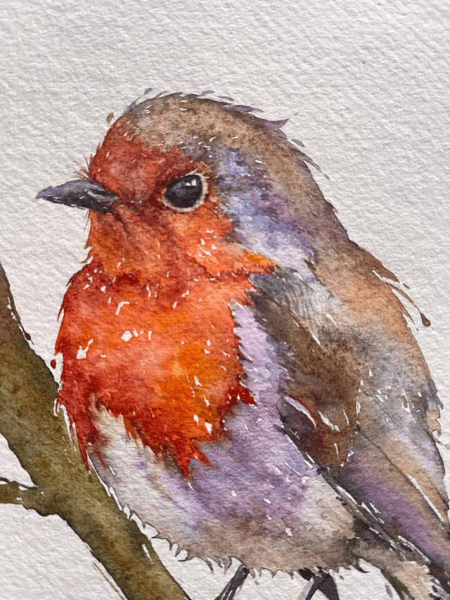 Robin bird №4. Original watercolour painting in frame