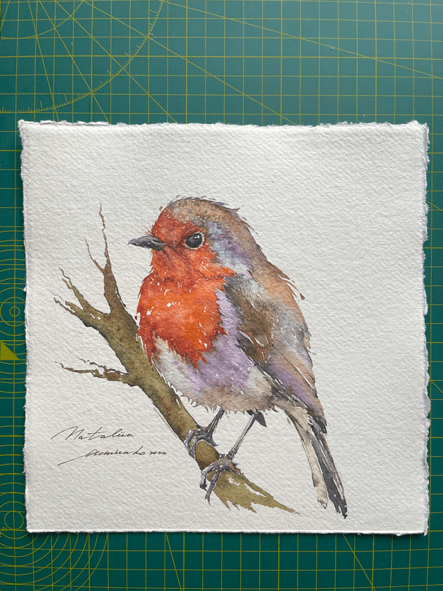 Robin bird №4. Original watercolour painting in frame