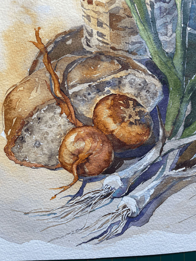 Old style still life Vine and veg. Original watercolour art