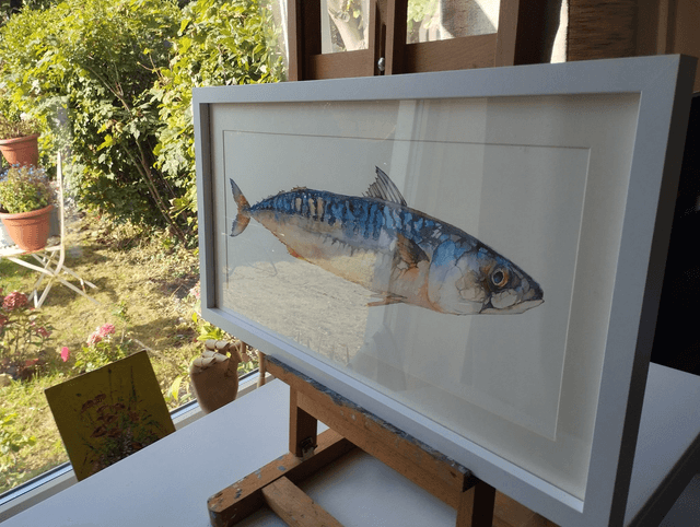 Mackerel freshly caught. Original watercolor painting