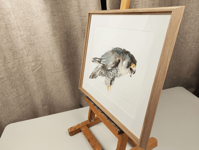 Sparrowhawk on the hunt. Original watercolour
