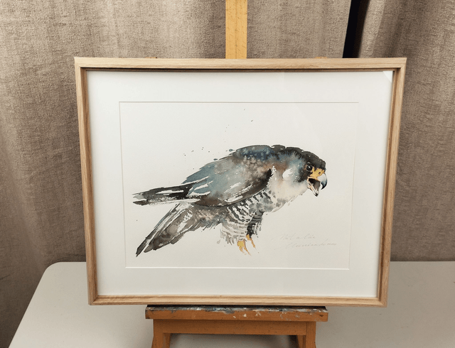 Sparrowhawk on the hunt. Original watercolour